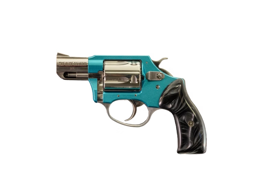 Charter Arms Blue Diamond