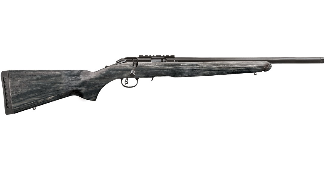 Ruger American Rifle Target