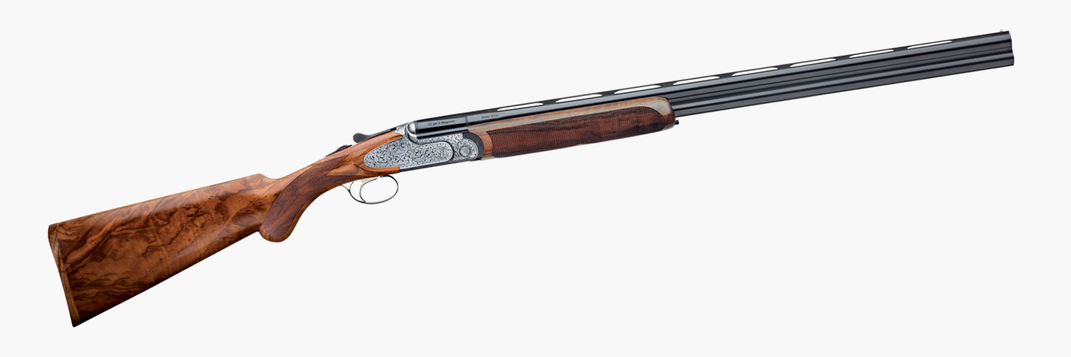 Rizzini Artemis