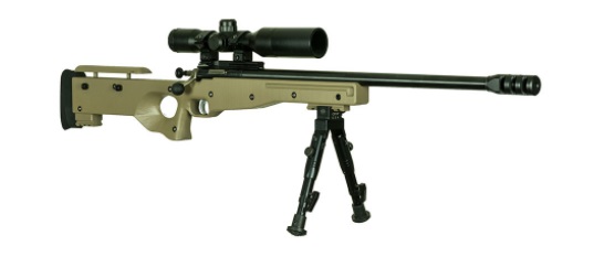 Keystone Sporting Arms Crickett Precision Rifle