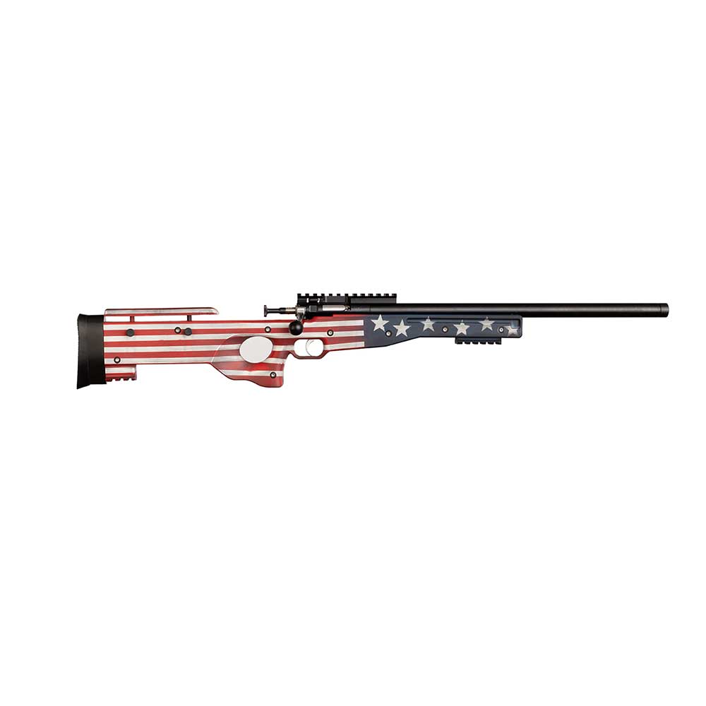 Keystone Sporting Arms Crickett Precision Rifle