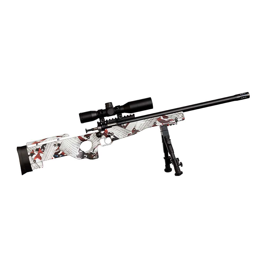 Keystone Sporting Arms Crickett Precision Rifle