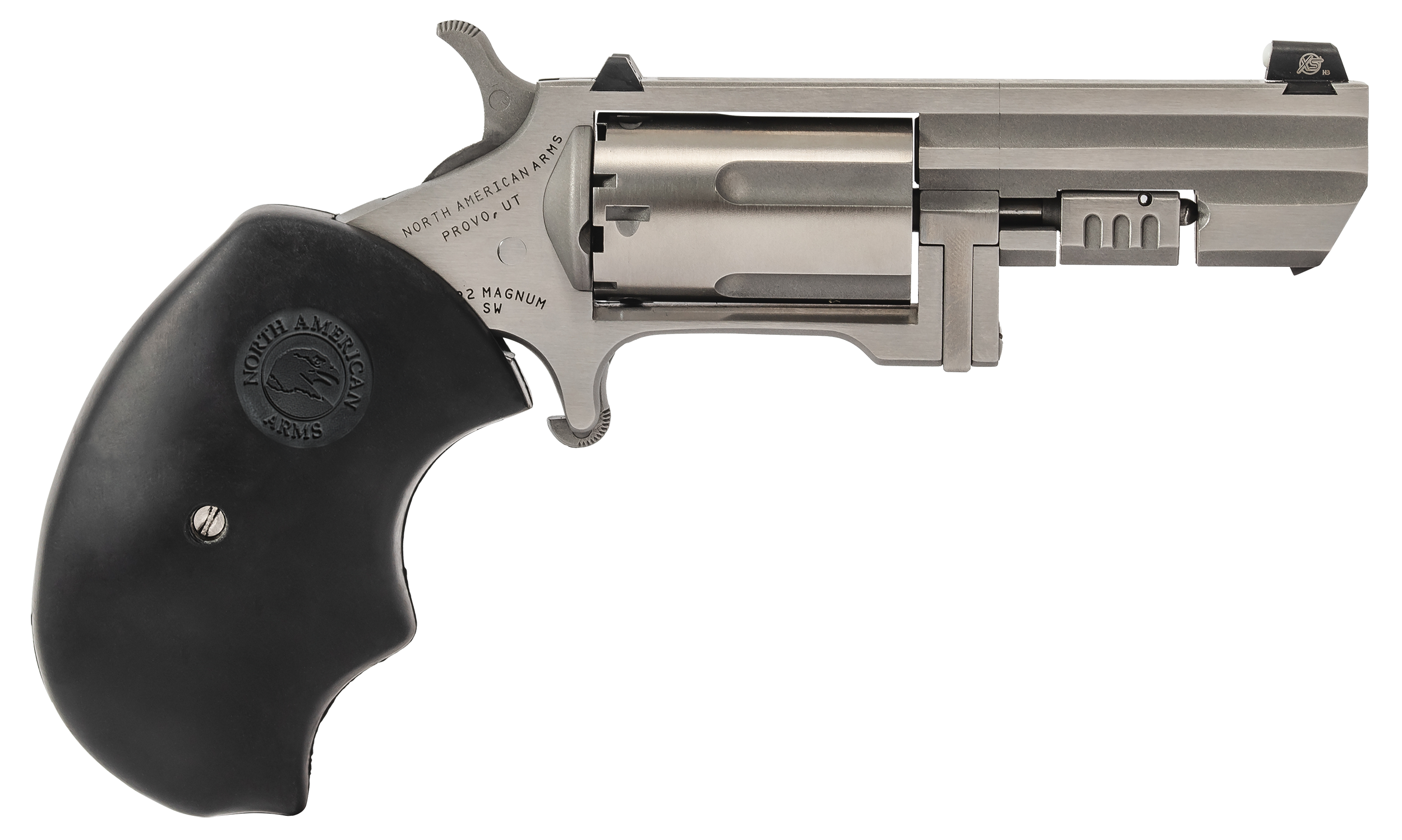North American Arms Recluse