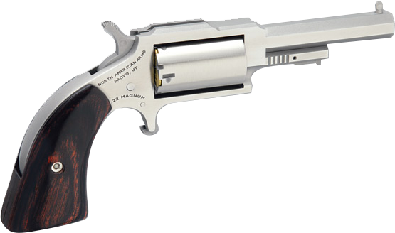 North American Arms Sheriff