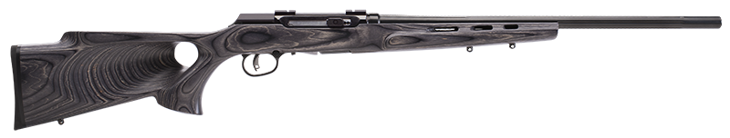 Savage Arms A22